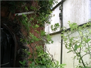 Mai - 4. Sept. O5071